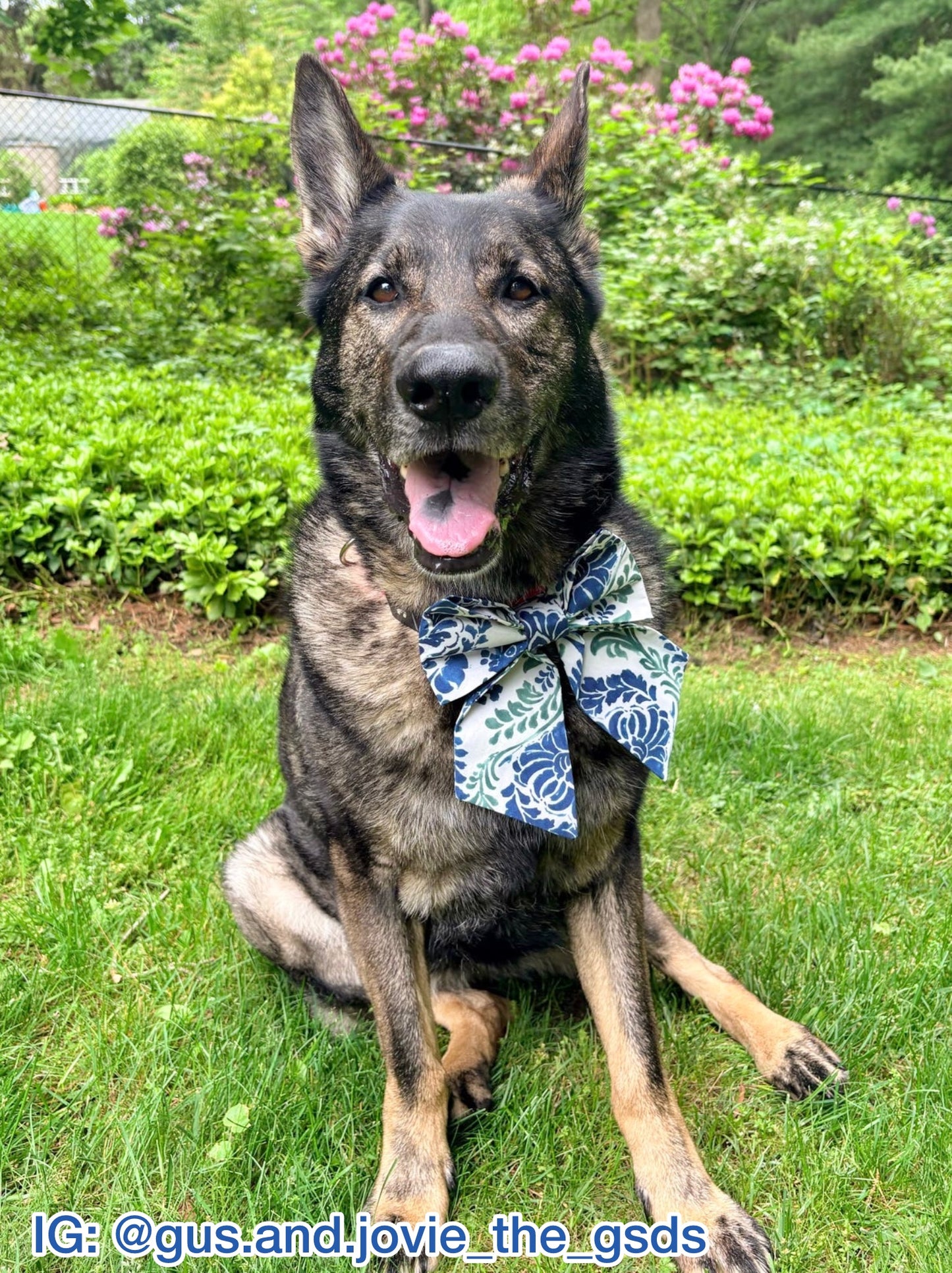 Sicilian Mosaic Pet Bow