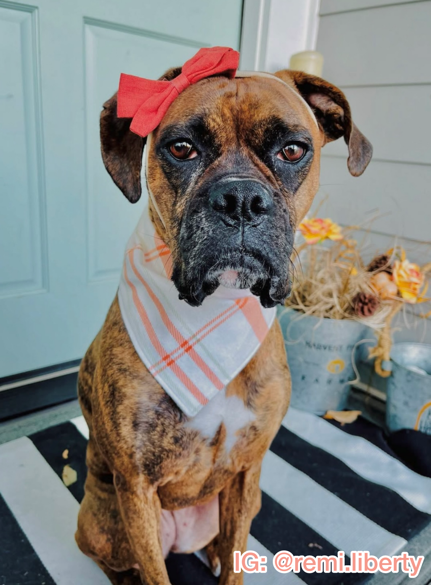 Harvest Plaid Bandana