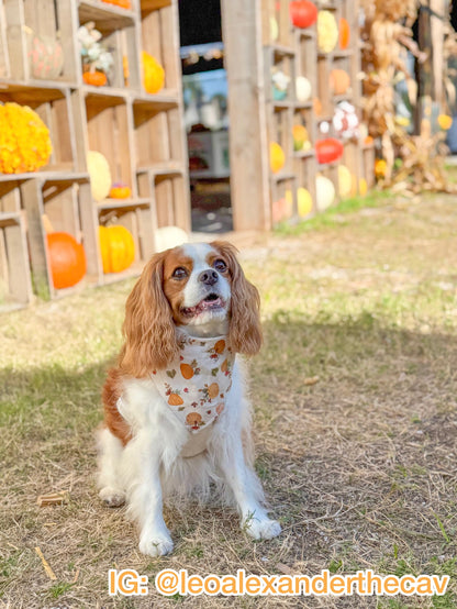 Thankful Harvest Bandana