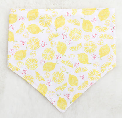 Main Squeeze Bandana