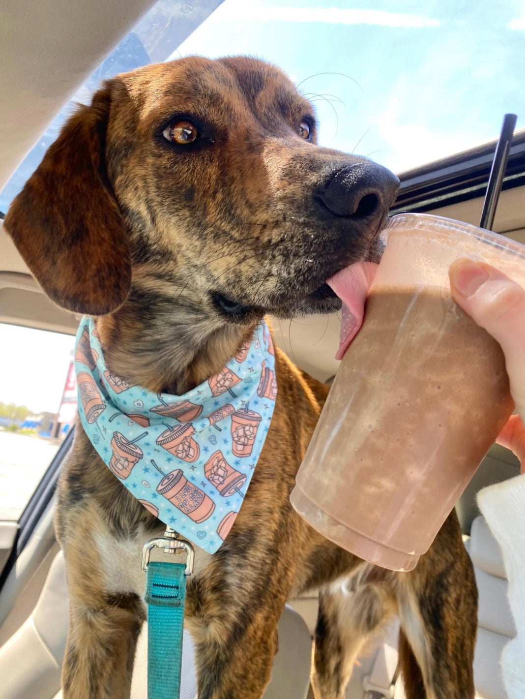 Blue I Love My Mom A Latte Bandana