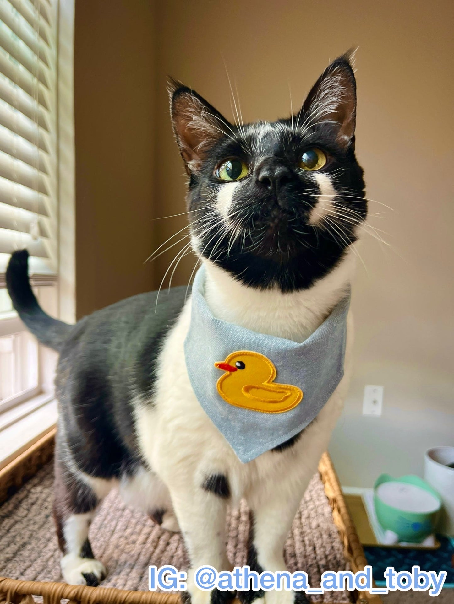 Rubber Ducky Patch Bandana