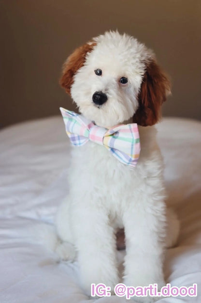 Easter Plaid Pet Bow