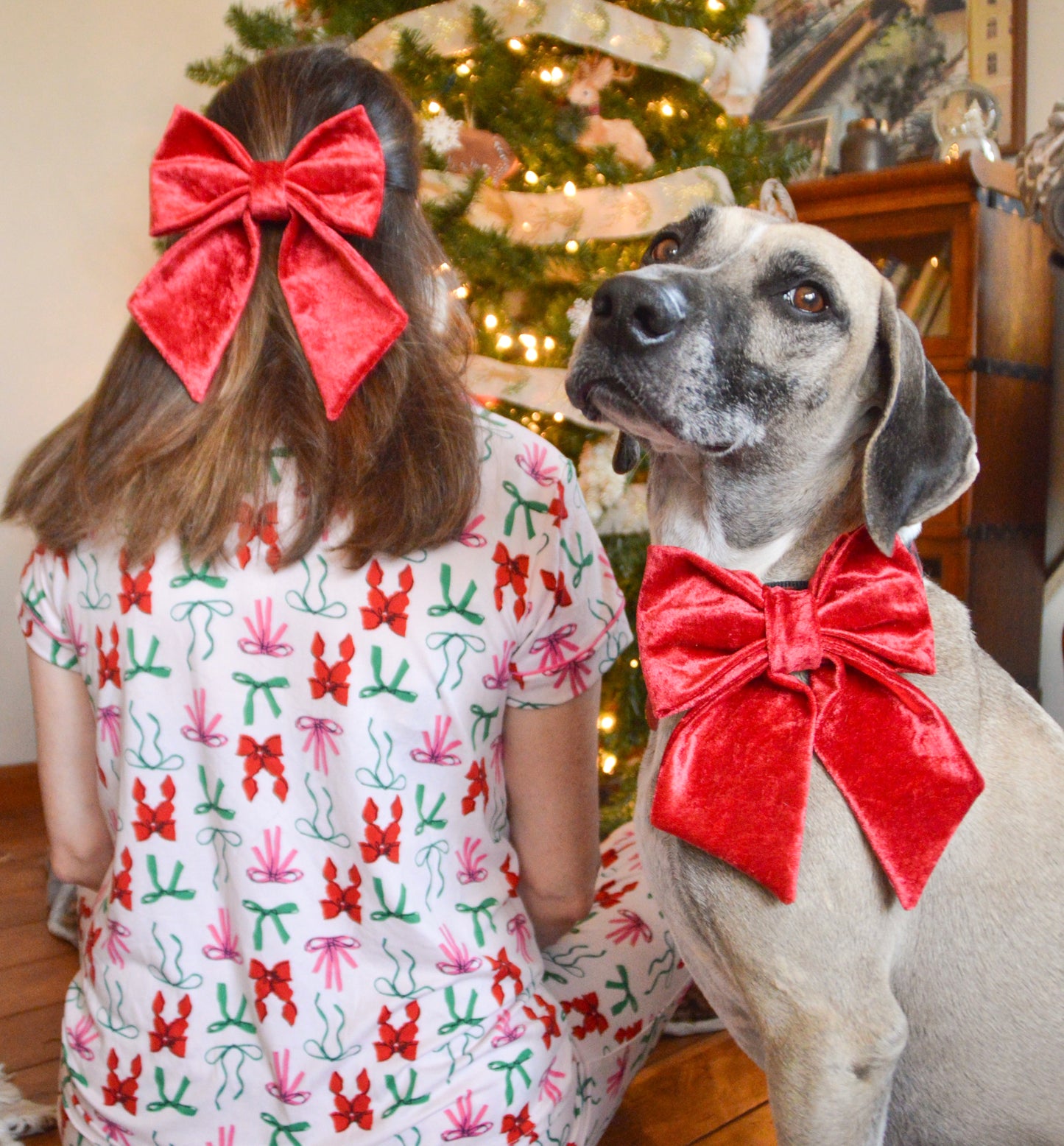 Crimson Red Velvet Pet Bow