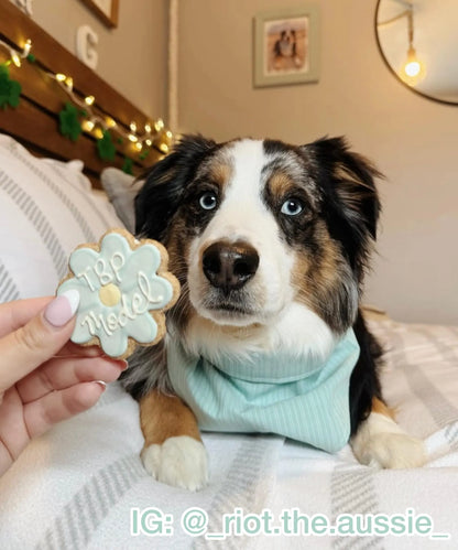 Raised Light Teal Stripes Bandana