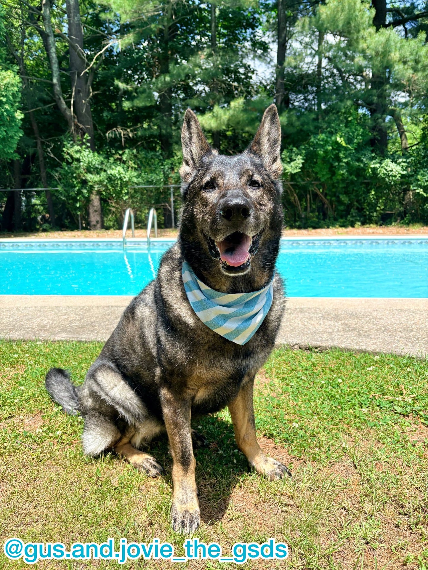 Seaside Stripes Bandana