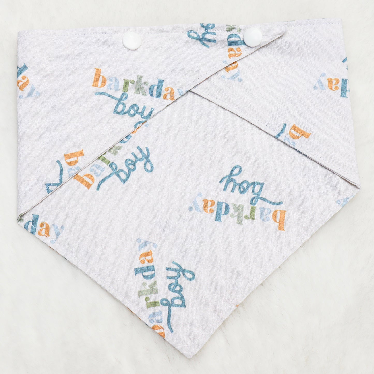 Barkday Boy Bandana