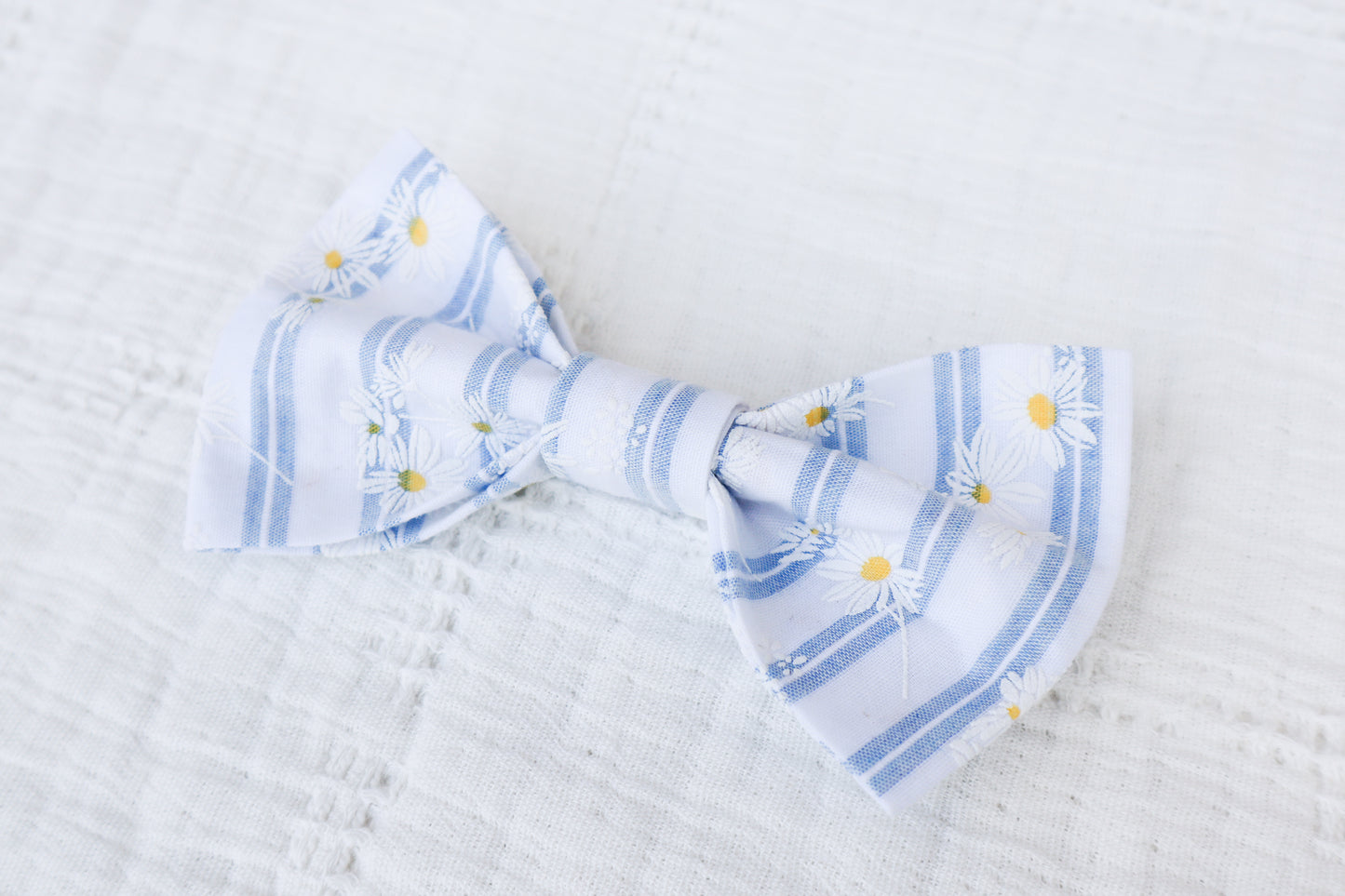 Striped Daisies Pet Bow