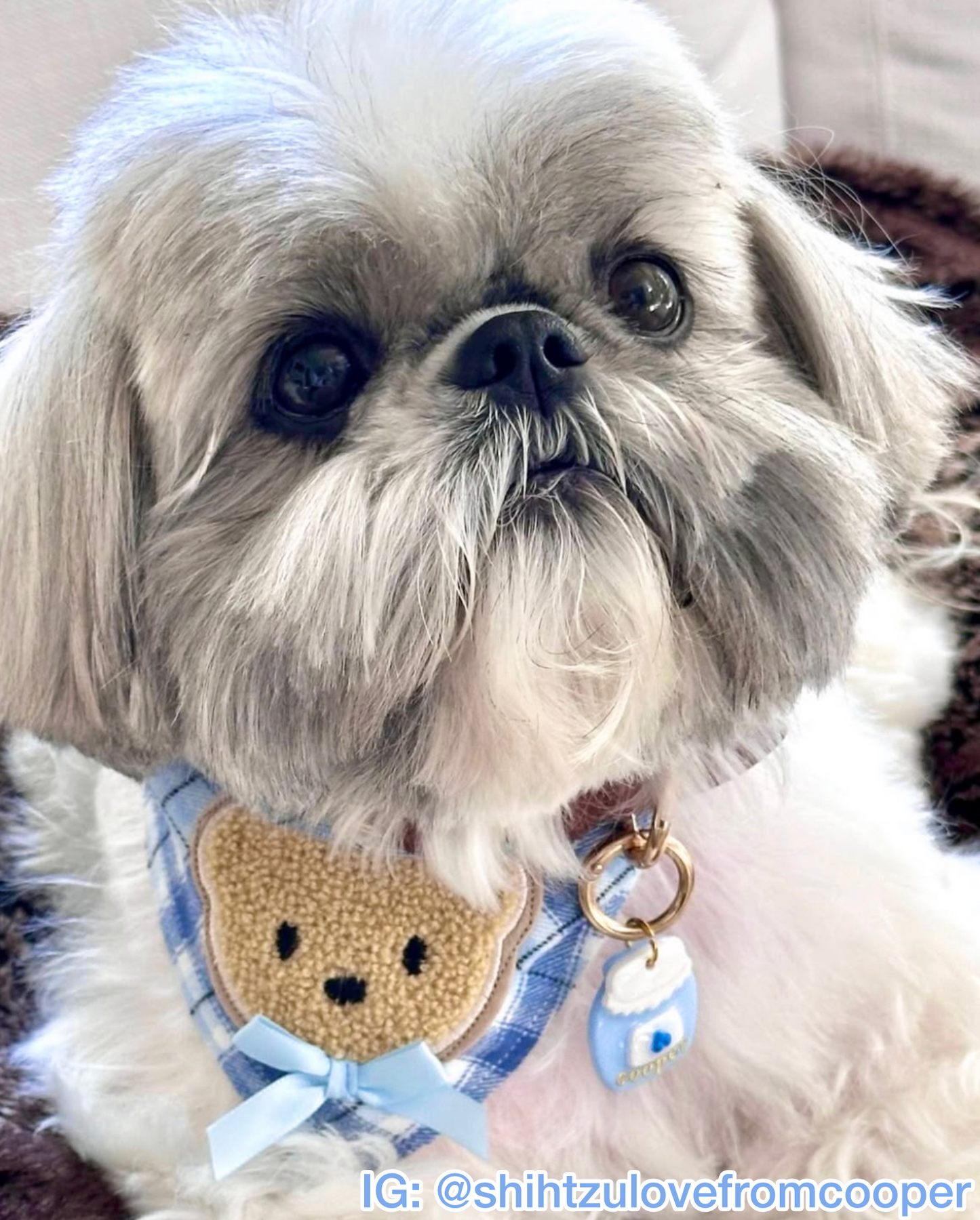Beary Blue Plaid Bandana