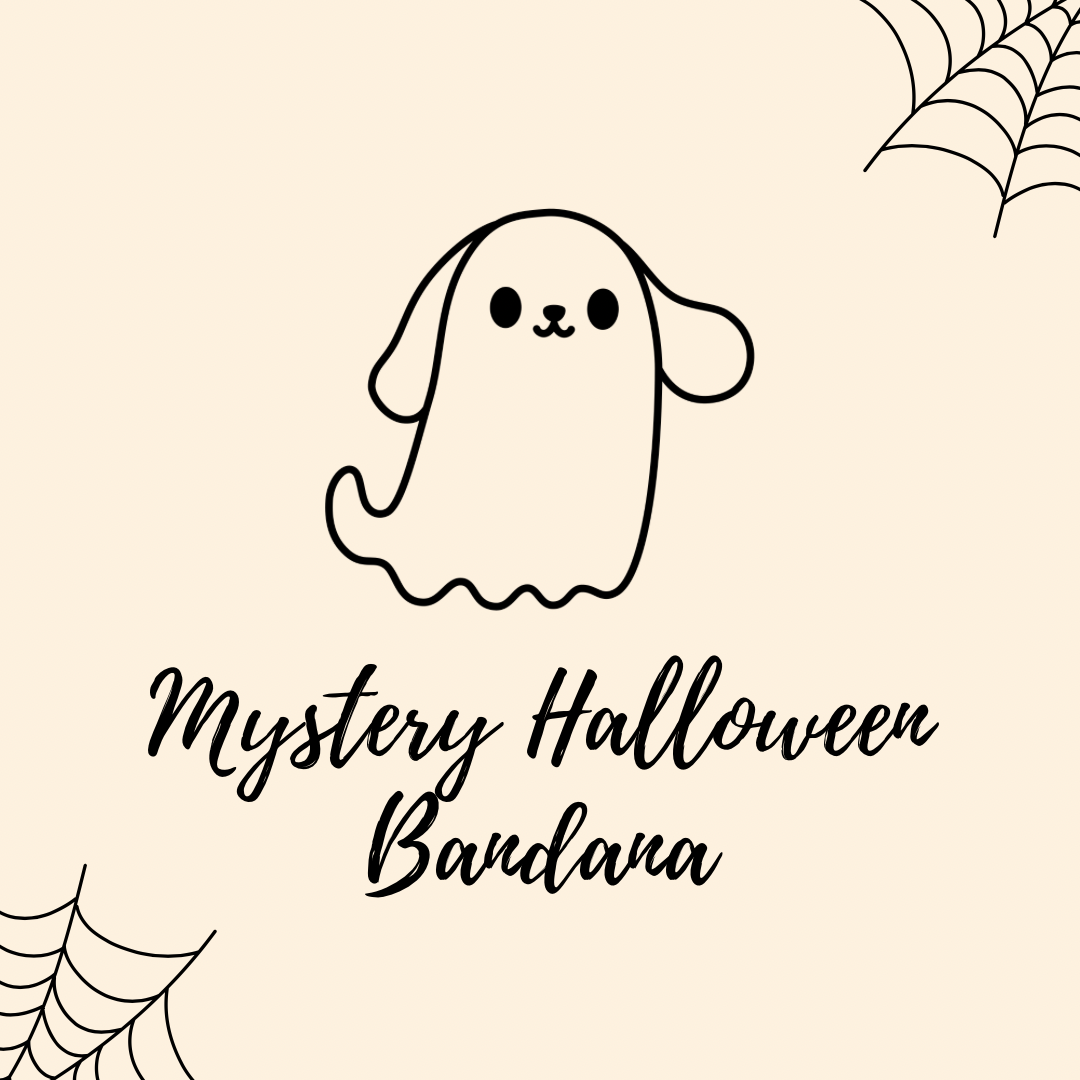 Mystery Halloween Bandana