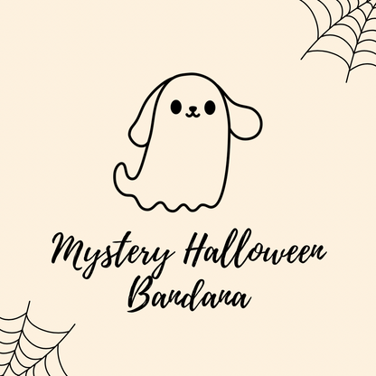 Mystery Halloween Bandana