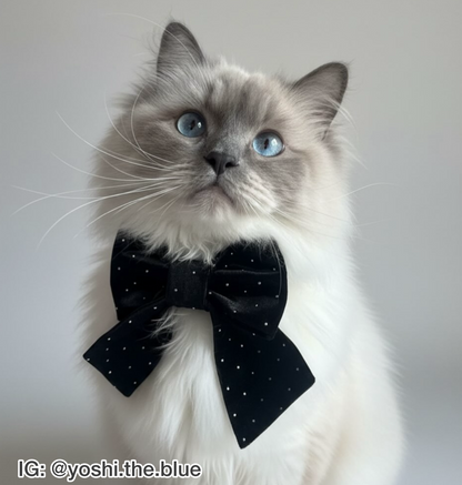 Dazzling Diamond Velvet Pet Bow