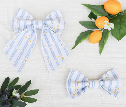 Striped Daisies Pet Bow