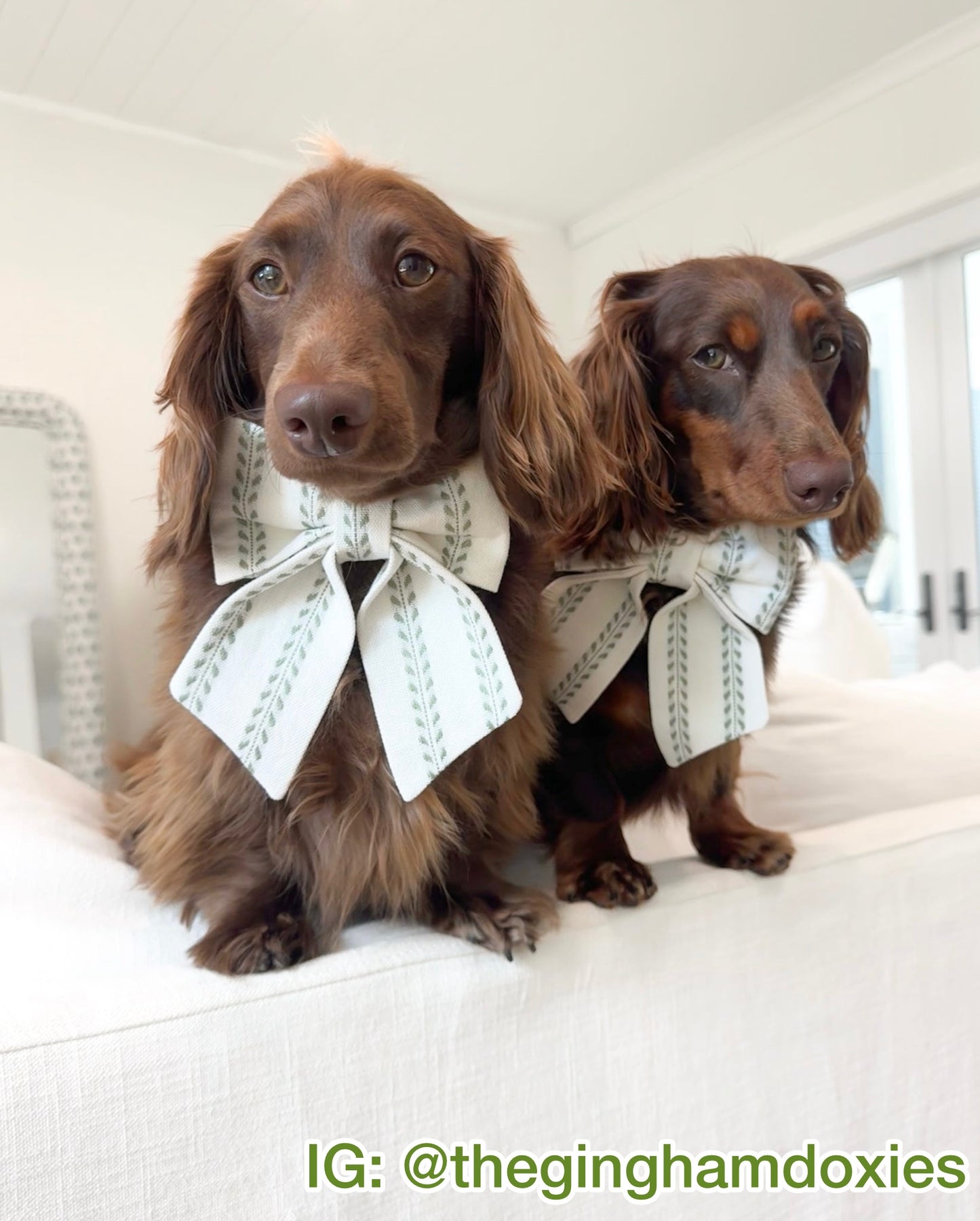 Italian Vineyard Pet Bow