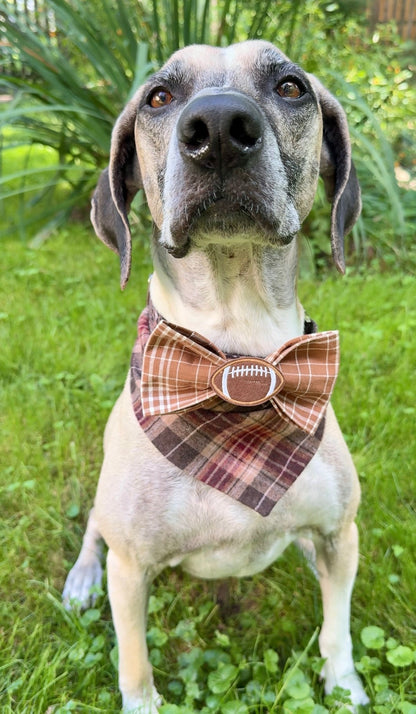 Football Season Pet Bow