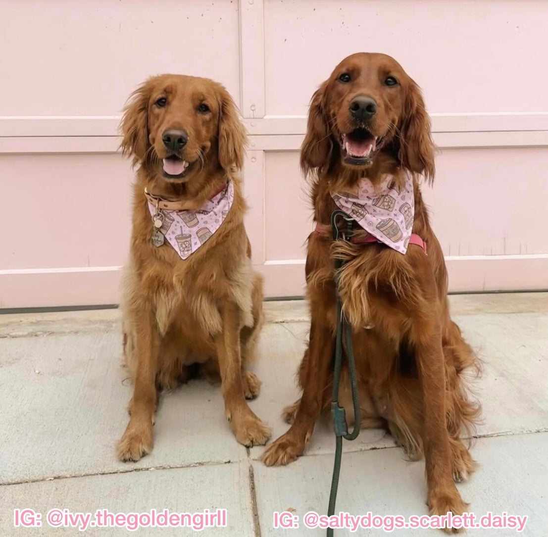 Pink I Love My Mom A Latte Bandana