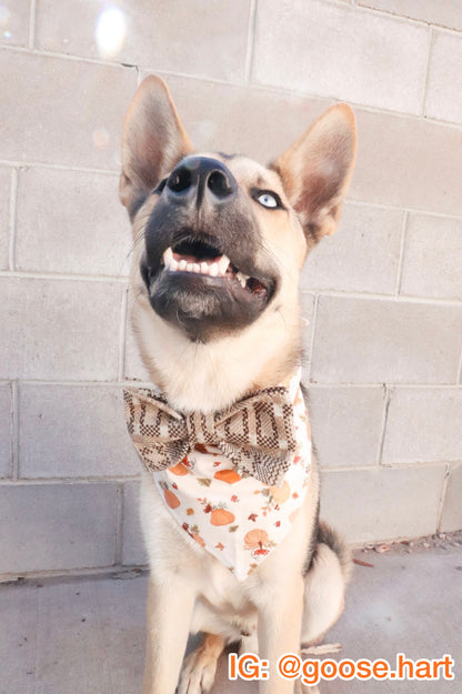 Acorn Gatherings Pet Bow