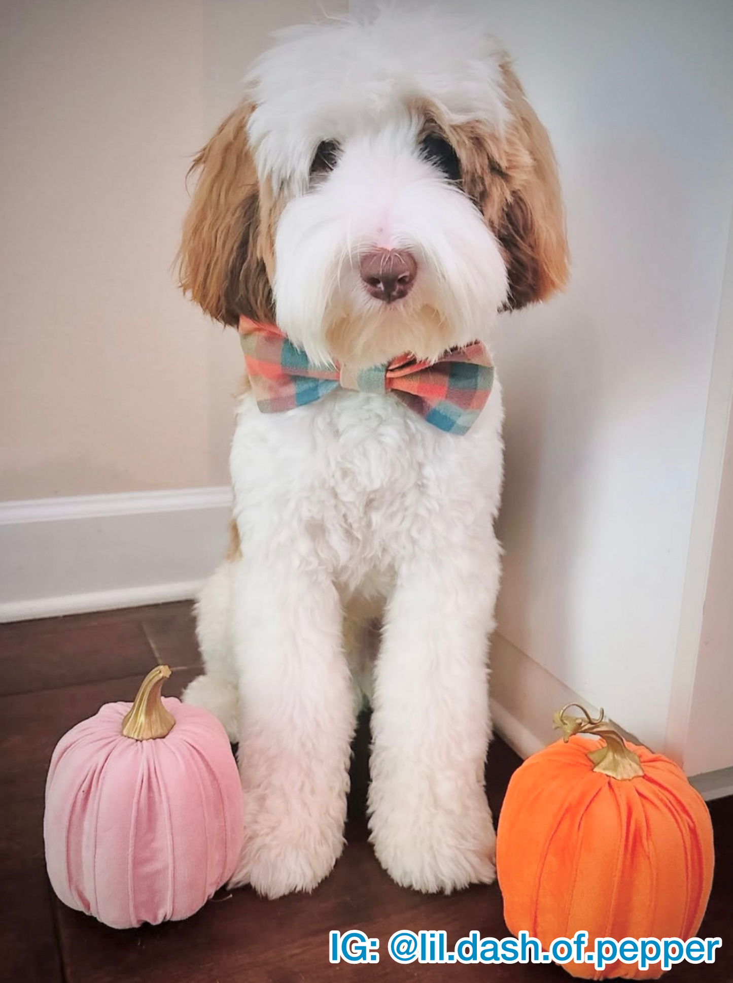 Cozy Campfire Plaid Pet Bow