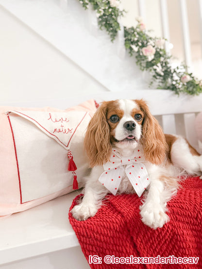Lots of Love Pet Bow