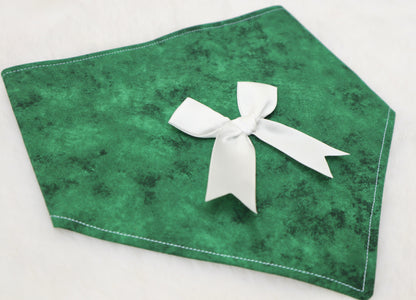 Wrapped in Green Bandana