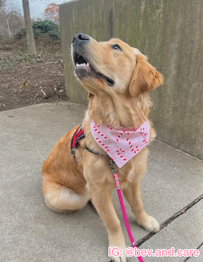 Pink Candy Canes Bandana