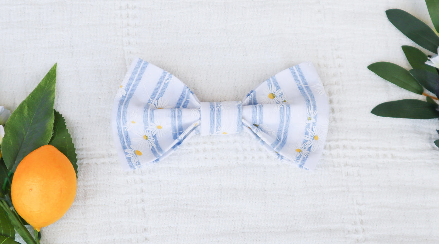 Striped Daisies Pet Bow