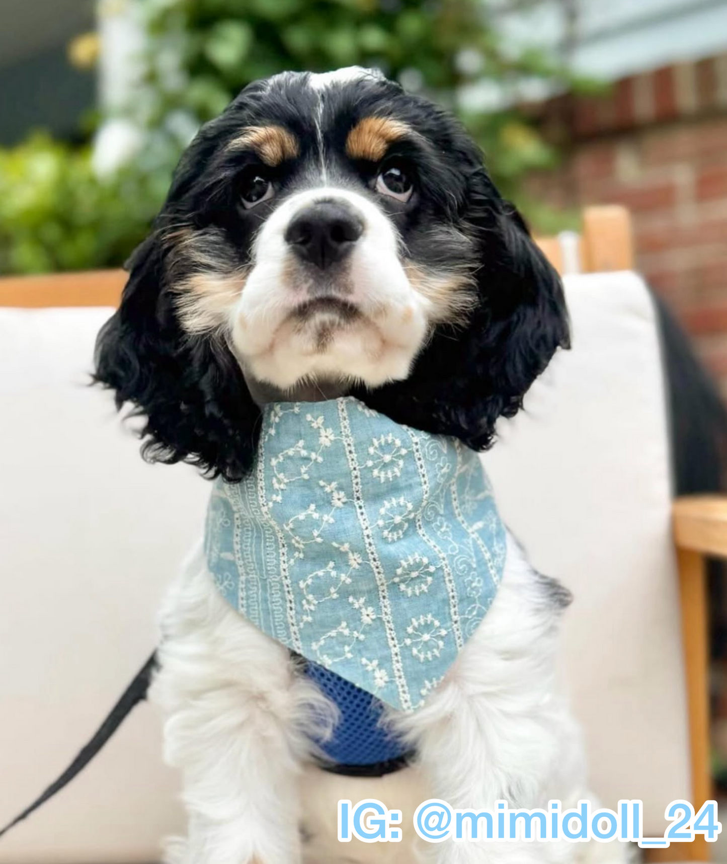 Coastal Blue Bandana