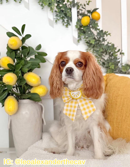 Classic Lemonade Pet Bow