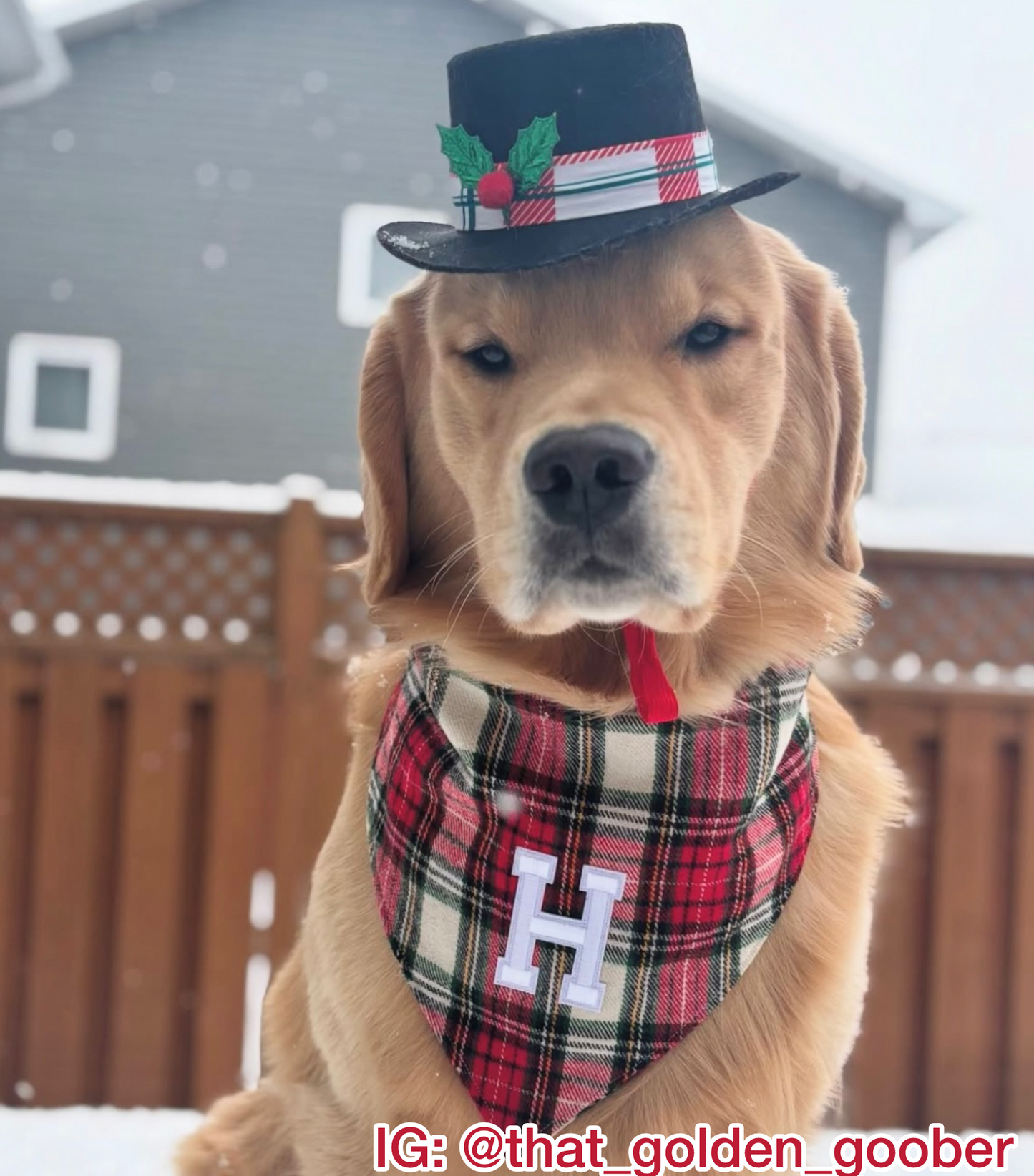 Classic Christmas Plaid w/ Letter Patch Bandana