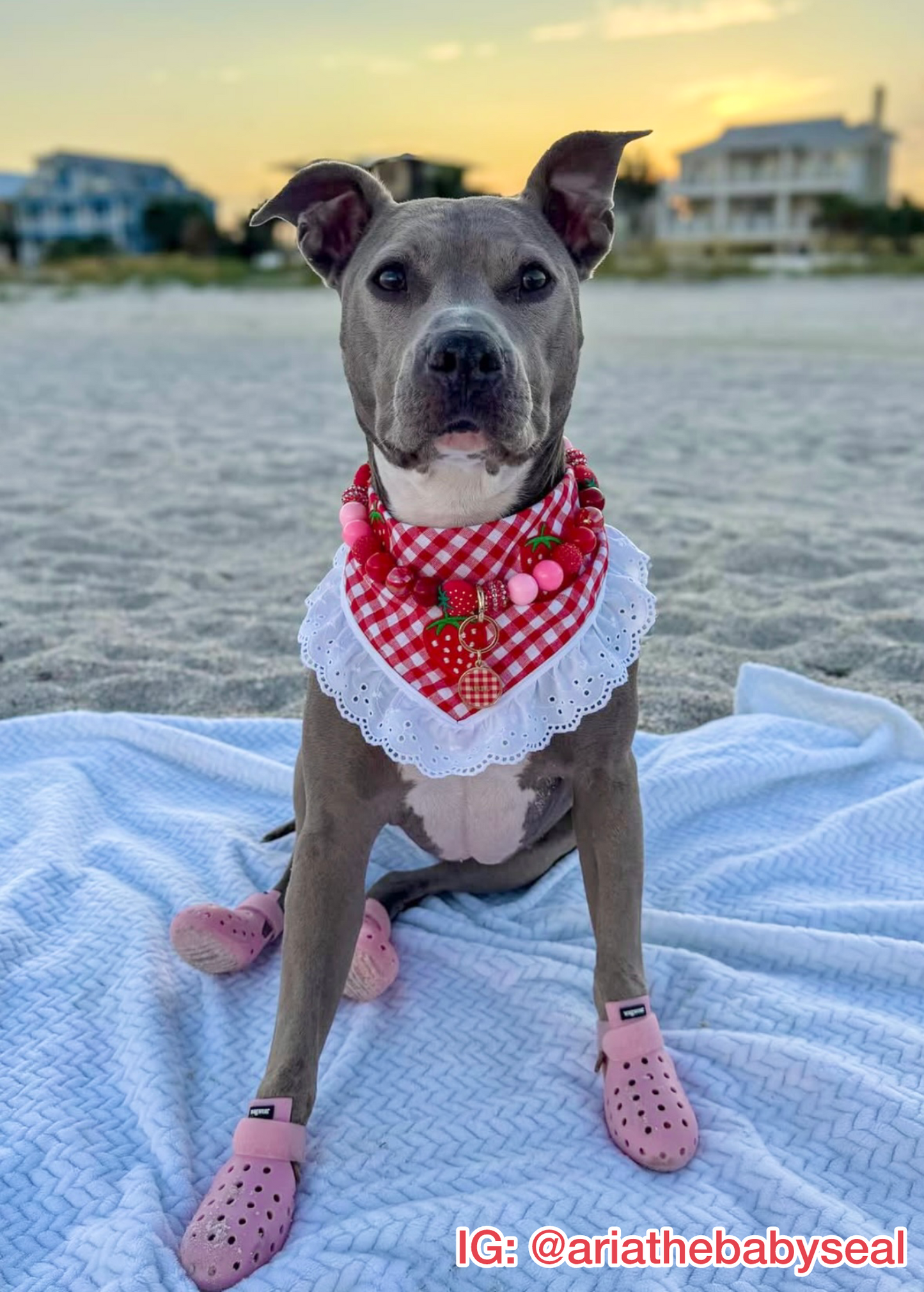 Strawberry Picnic Bandana