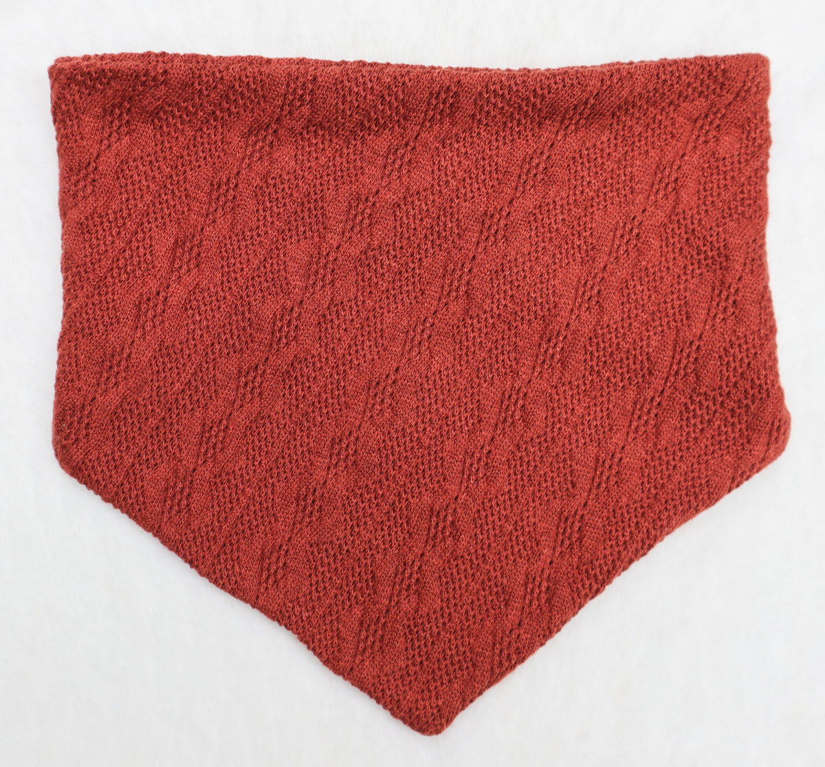 Toasted Pumpkin Sweater Weather Bandana