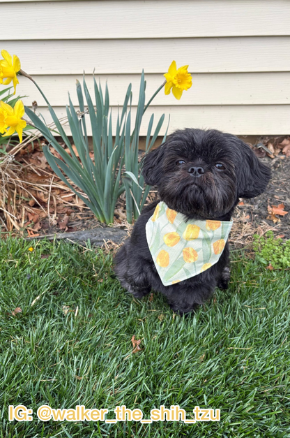 Field of Tulips Bandana