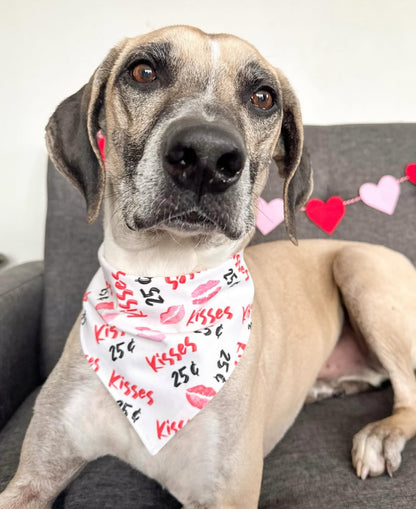 25¢ Kisses Bandana