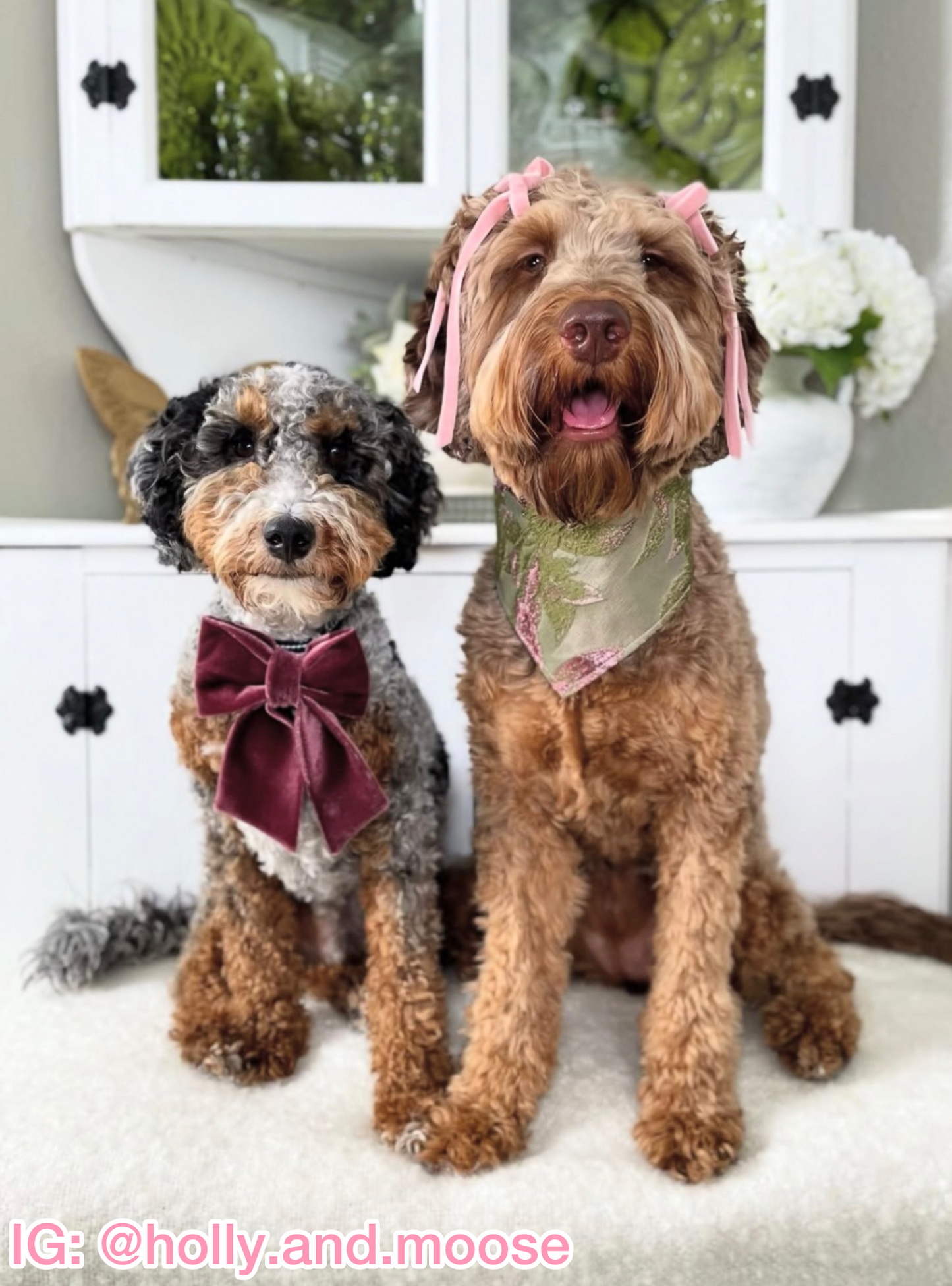Water Lily Waltz Bandana