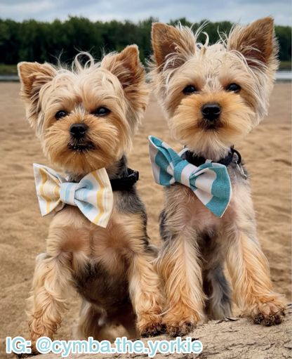 Seaside Stripes Pet Bow