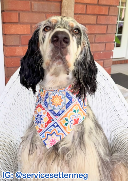 Citrus Courtyard Bandana