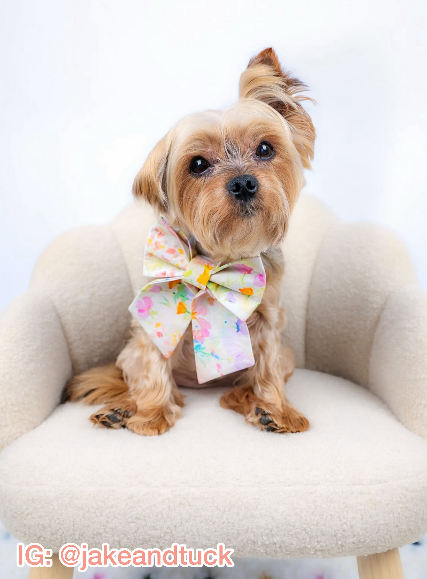 Wildflower Whispers Pet Bow