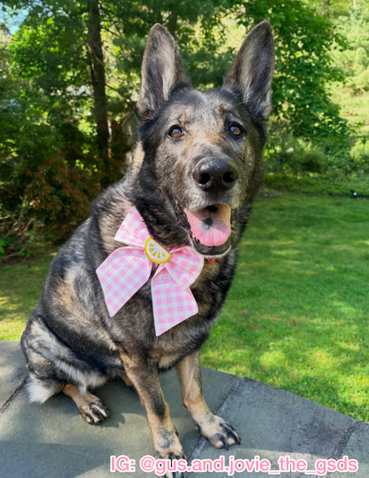 Pink Lemonade Pet Bow