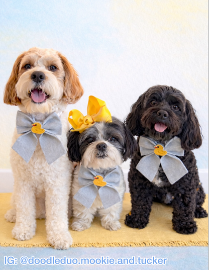 Rubber Ducky Patch Pet Bow