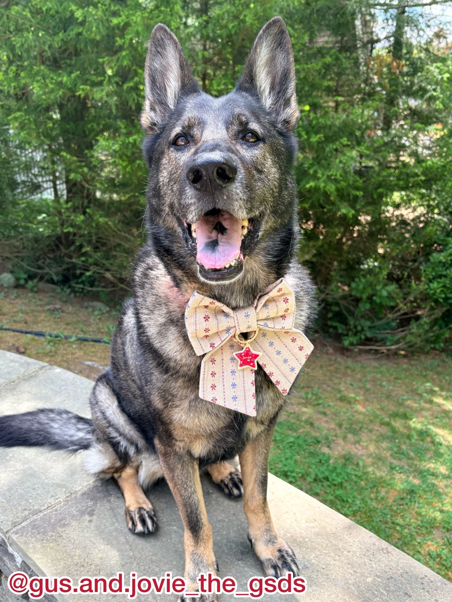 Heritage Bloom Pet Bow