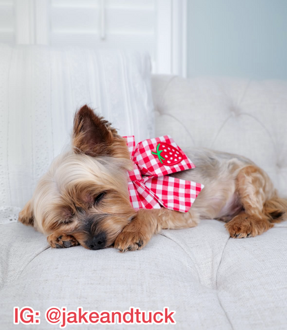 Strawberry Picnic Pet Bow