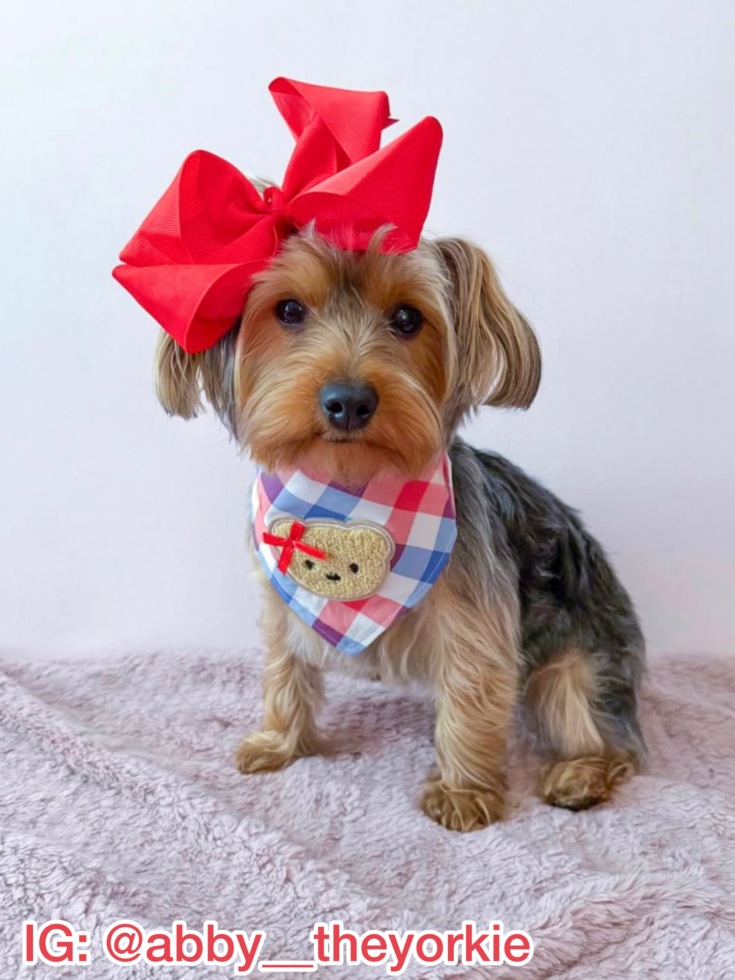 Beary Patriotic Bandana