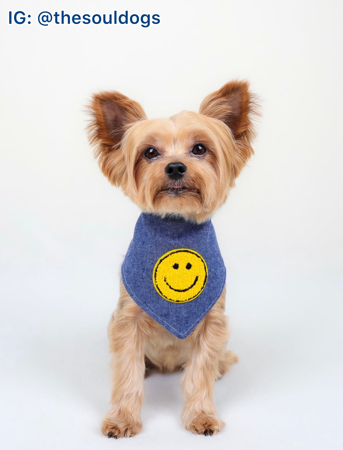 Smiley Face Patch Bandana
