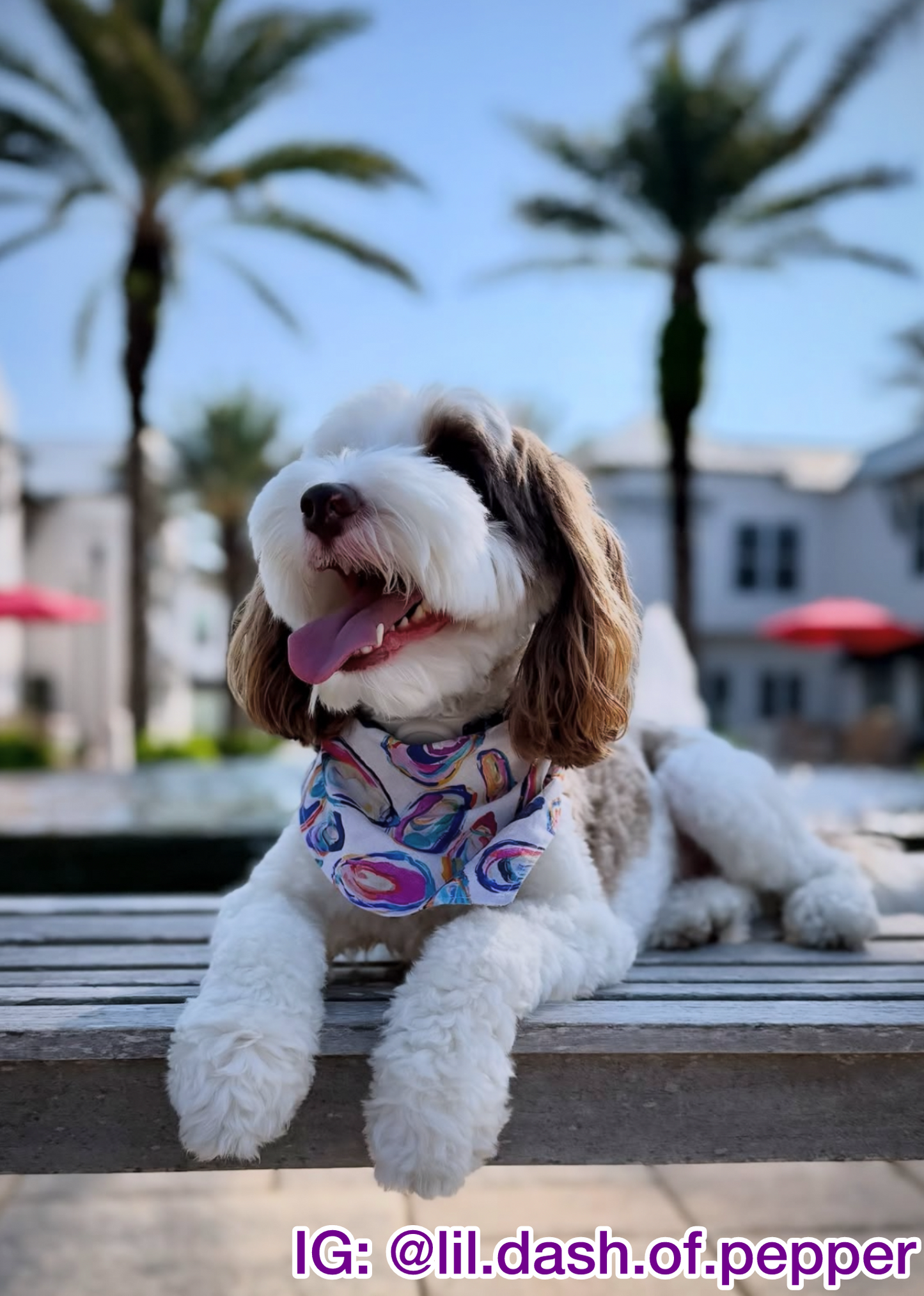 Oyster Cove Bandana