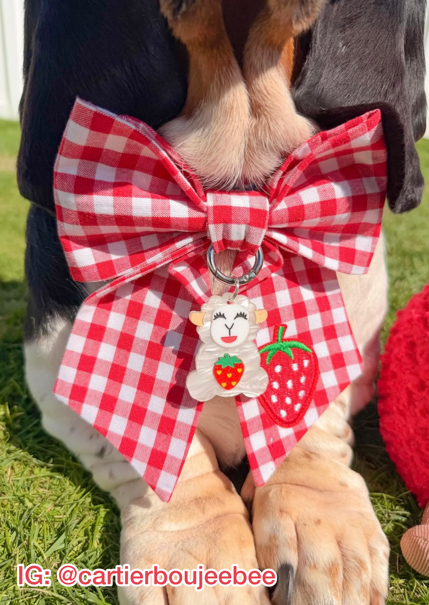 Strawberry Picnic Pet Bow