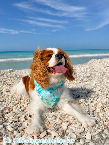Coastal Catch Bandana