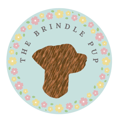 The Brindle Pup