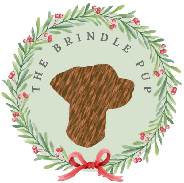 The Brindle Pup